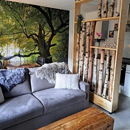 Apartment Renoviertes In