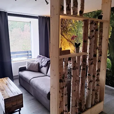Renoviertes In Apartment Winterberg
