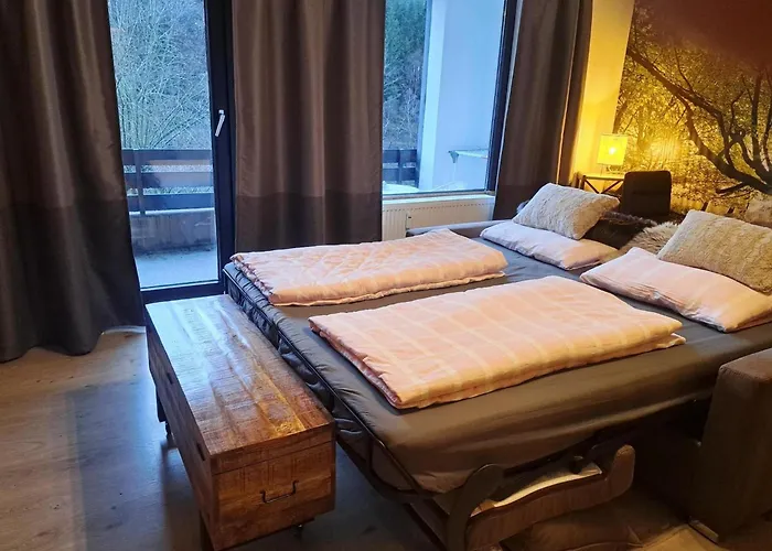 Renoviertes In Lejlighed Winterberg