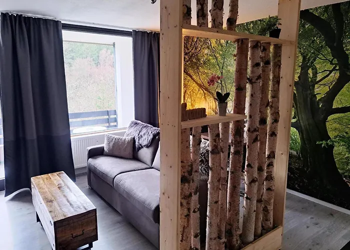 Renoviertes In Apartment Winterberg